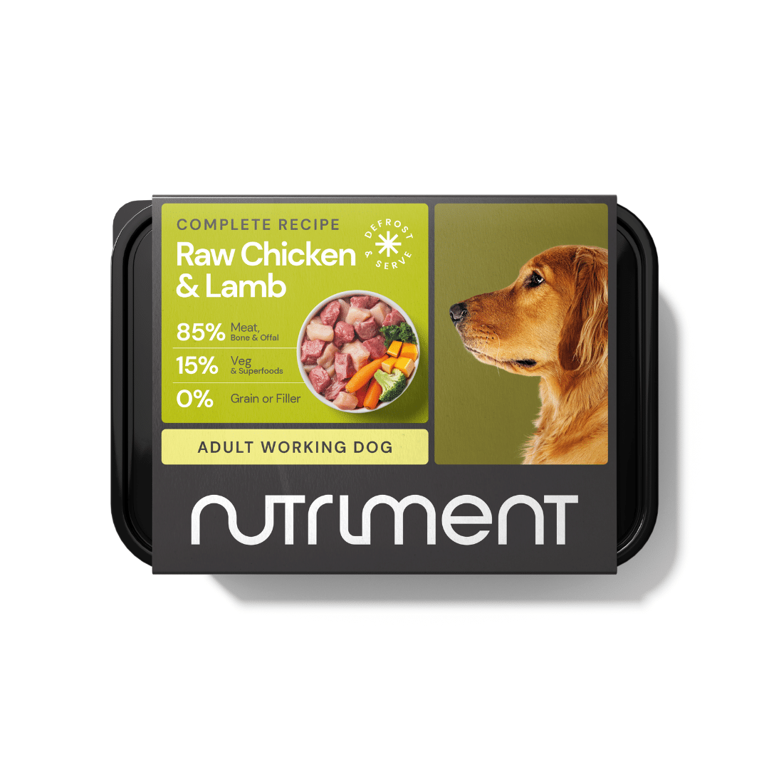 Nutriment Mince with Veg, Fruit & Supplements
